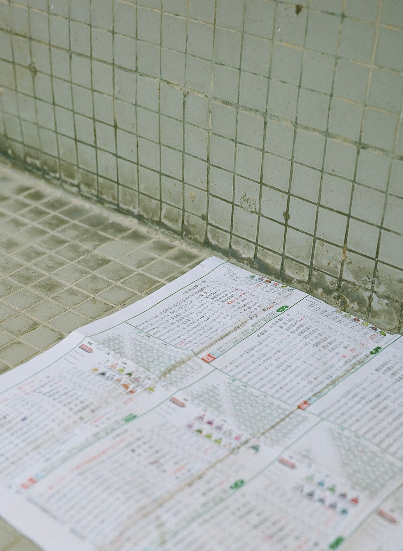 Fujifilm Fujicolor PRO 160NS - 120 Color Negative Film